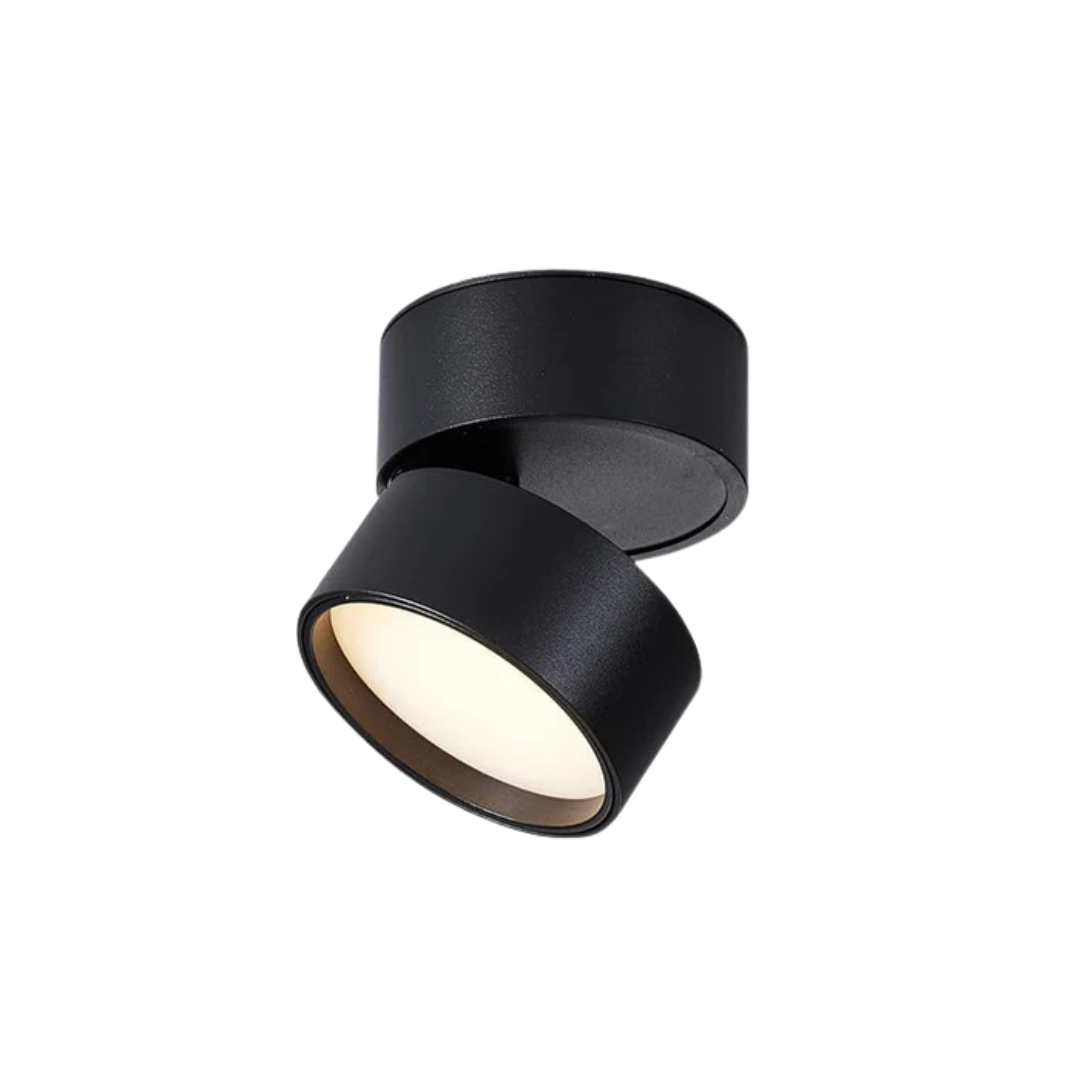 Nemsk | LumaNova Adjustable LED Ceiling Light With Rotating Head