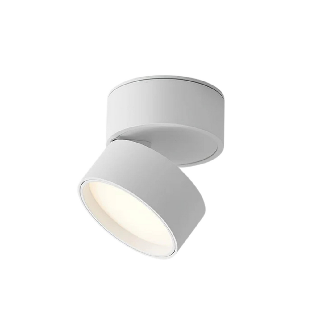Nemsk | LumaNova Adjustable LED Ceiling Light With Rotating Head