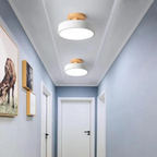 Nemsk | Lunara Compact Modern LED Ceiling Light With Warm Glow