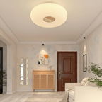 Nemsk | Lumora Modern LED Ceiling Light For Living Room And Bedroom