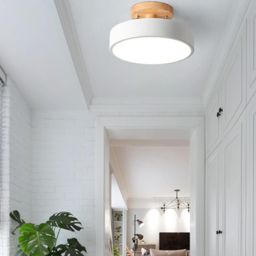 Nemsk | Lunara Compact Modern LED Ceiling Light With Warm Glow