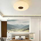 Nemsk | Lumora Modern LED Ceiling Light For Living Room And Bedroom