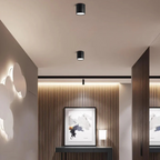 Nemsk | LumaNova Adjustable LED Ceiling Light With Rotating Head