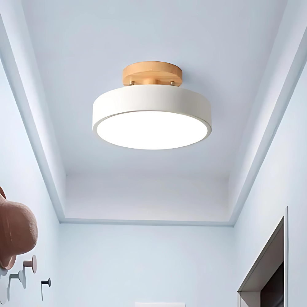 Nemsk | Lunara Compact Modern LED Ceiling Light With Warm Glow