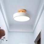 Nemsk | Lunara Compact Modern LED Ceiling Light With Warm Glow