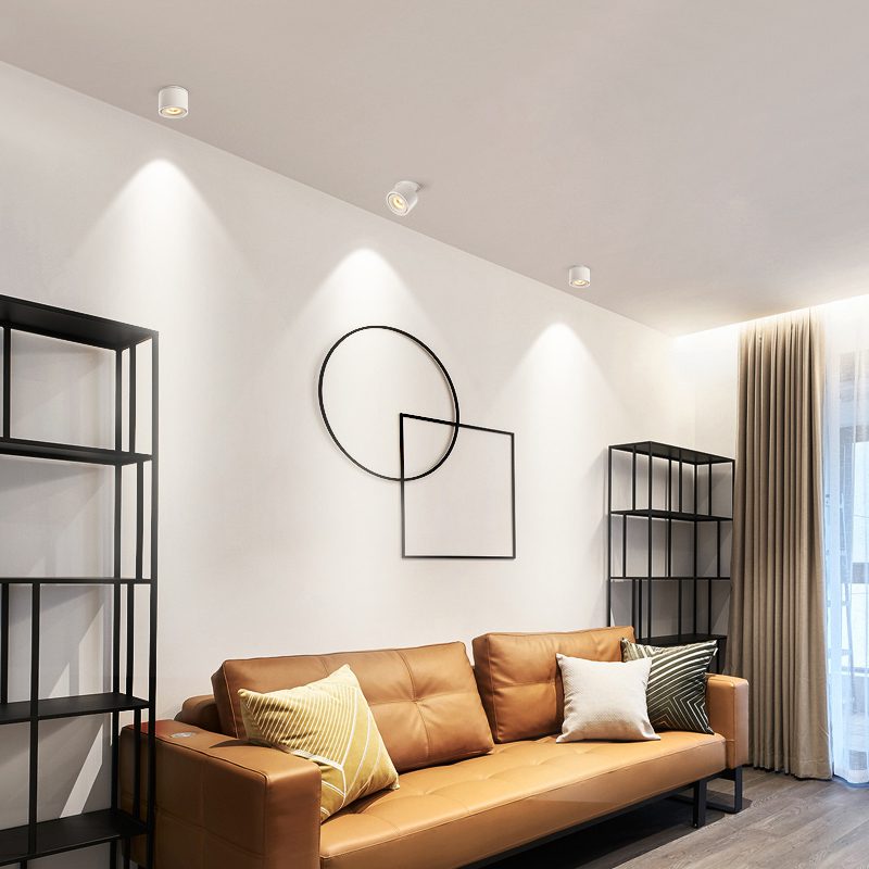 AstraLume Cylinder LED Recessed Ceiling Light With Adjustable Beam