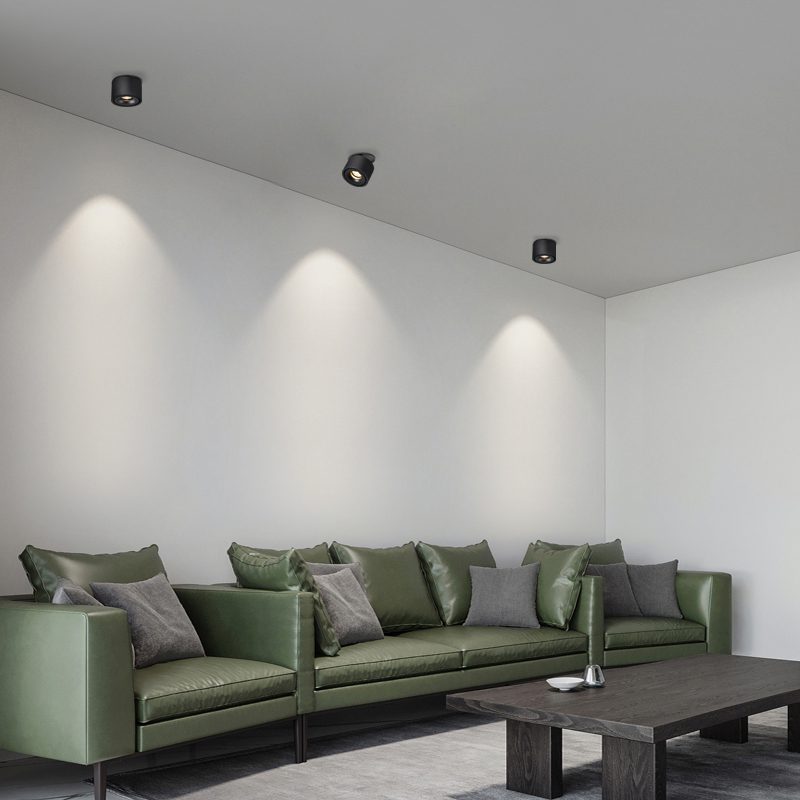 AstraLume Cylinder LED Recessed Ceiling Light With Adjustable Beam