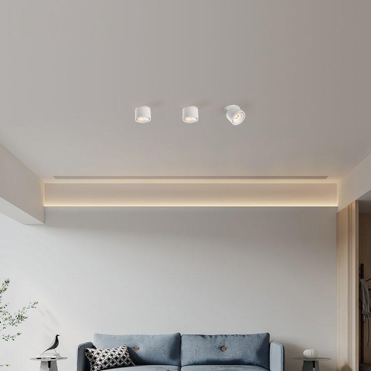 AstraLume Cylinder LED Recessed Ceiling Light With Adjustable Beam
