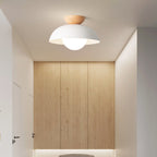NovaLyn Nordic Minimalist LED Ceiling Lamp With Eco Materials