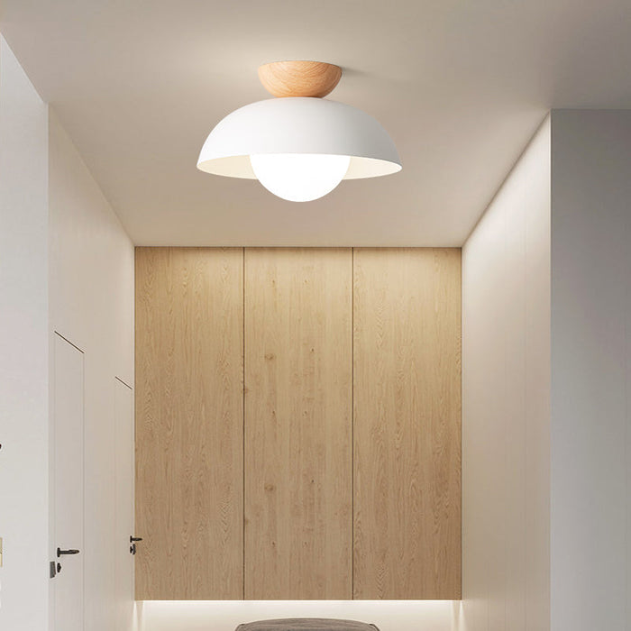 NovaLyn Nordic Minimalist LED Ceiling Lamp With Eco Materials