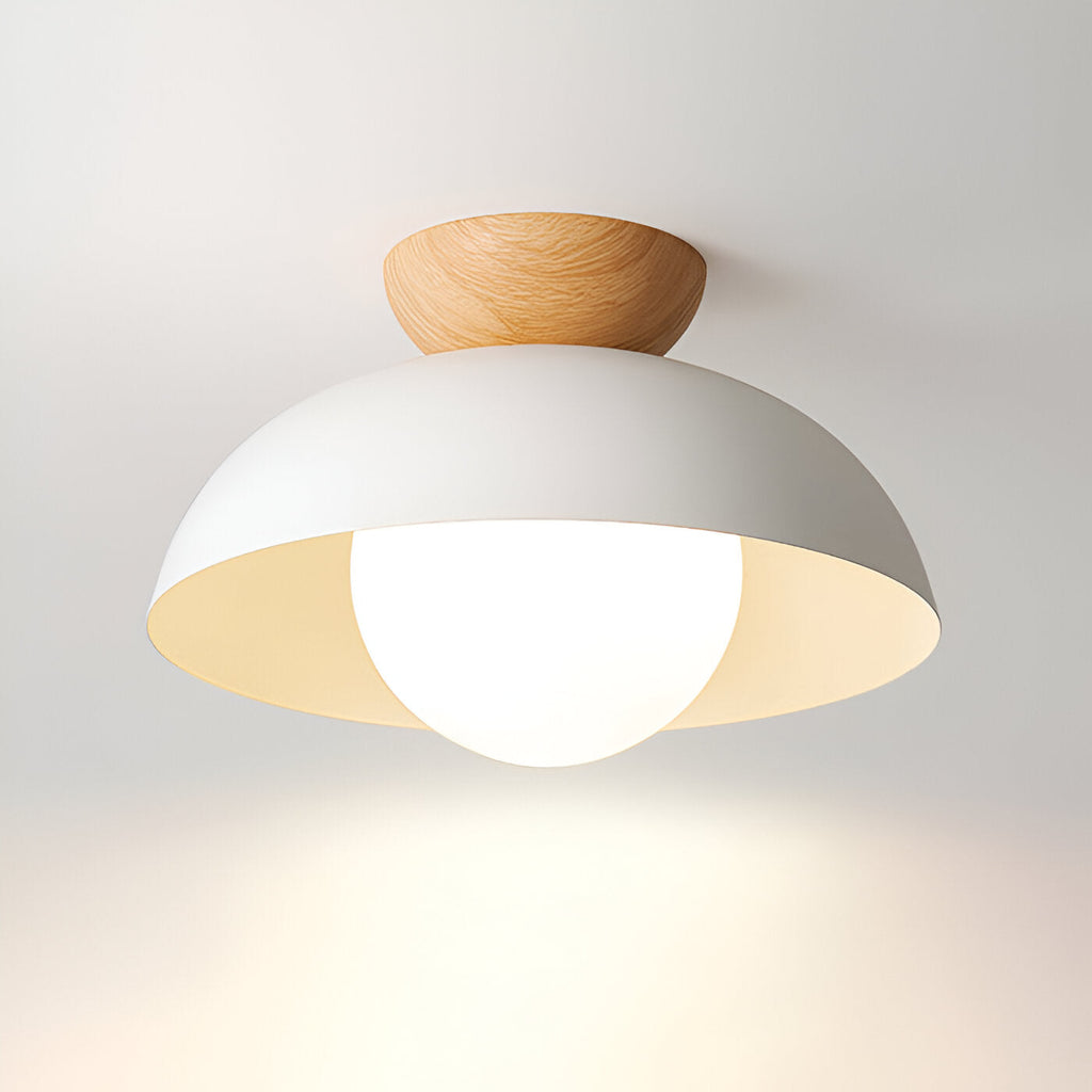 NovaLyn Nordic Minimalist LED Ceiling Lamp With Eco Materials
