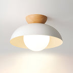 NovaLyn Nordic Minimalist LED Ceiling Lamp With Eco Materials